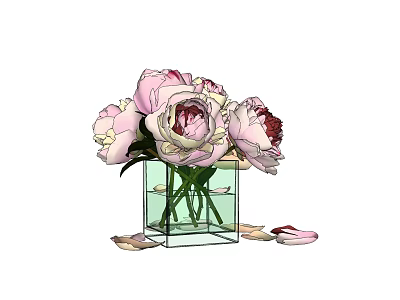 Blooming Pink Peonies in Clear Square Glass Vase with Scattered Petals 3d model