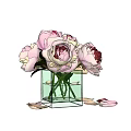 Blooming Pink Peonies in Clear Square Glass Vase with Scattered Petals