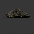 Natural Wooden Stone Slab Placed On Black Mat Featuring Green Moss Accent