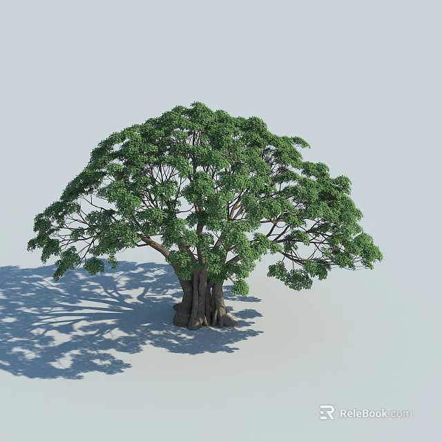 Arbor With Lush Green Leaves Thick Trunk Visible Roots Casting Shadow On Light Gray Background 3d model 