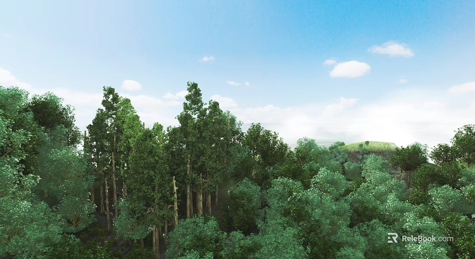Lush Green Forest Landscape With Tall Trees Blue Sky And White Clouds 3d model 
