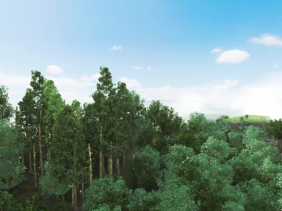 Lush Green Forest Landscape With Tall Trees Blue Sky And White Clouds 3d model