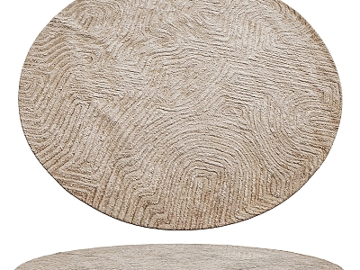 Modern Round Carpet 3d model