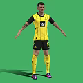 Man Wearing Yellow Black Football Jersey 18 BVB Logo Arms Outstretched Against Green Screen Background