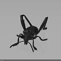 Black Insect Metal Sculpture With Detailed Artistic Design And Lifelike Features