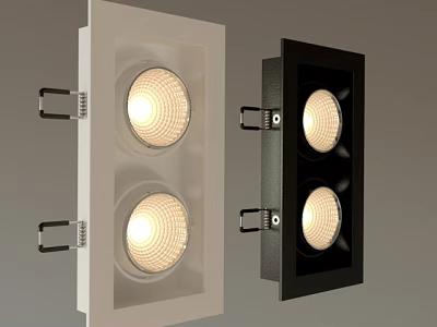 White and Black Double Head Recessed Downlights Spotlights Modern Home Lighting 3d model