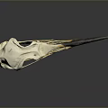Animal Skull With Long Beak White Black And Blue Marks On Gray Background With Reflection