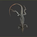 Vibrant Lizard With Blue Spots Orange Tail And Gray Body On Dark Surface