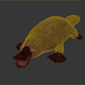platypus red-tailed platypus leopard platypus daily necessities 3d model