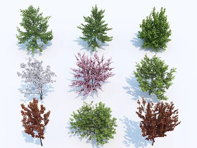 Various Arbor Trees with Different Colored Leaves Green Purple White and Brown Foliage 3d model
