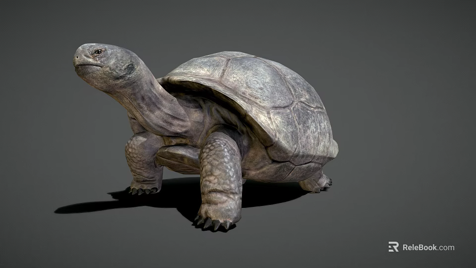 Giant Turtle Game Movie Character With Realistic Rough Shell And Textured Skin 3d model 