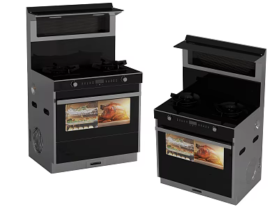 Modern Integrated Kitchen Appliances Double Stoves With Range Hood And Oven 3d model