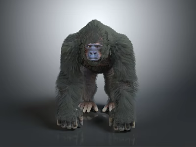 Gorilla 3D Model in Standing Pose With Detailed Fur and Gray Gradient Background 3d model