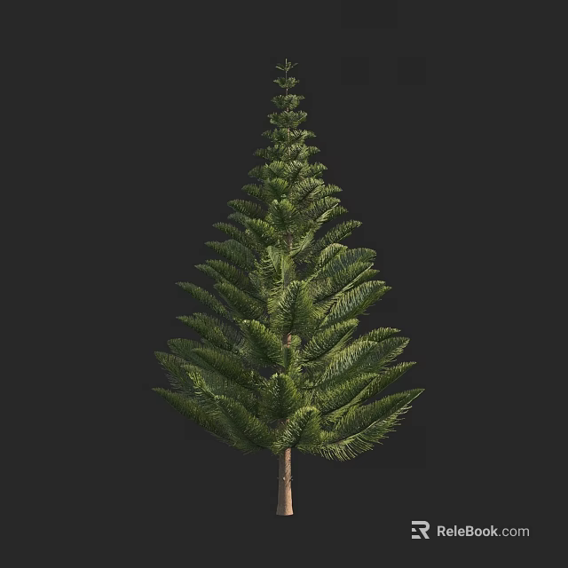 Evergreen Arbor With Lush Green Foliage Layered Branches And Tall Brown Trunk Against Dark Background 3d model 