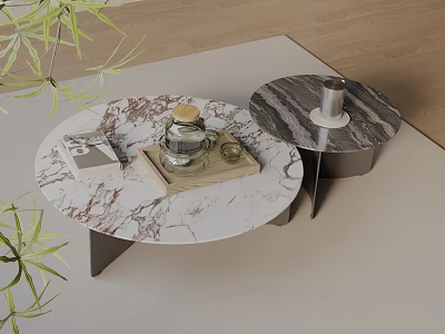 Modern Sofa Coffee Table Set with Circular Marble Tops Metal Legs and Decorative Items 3d model