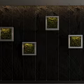 Living Plant Wall with White Framed Square Plant Boxes on Black Rock Textured Wall