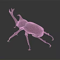 Detailed Brown Rhinoceros Beetle With Large Horn On Dark Gray Background