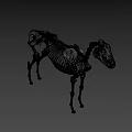 Detailed White Horse Skeleton 3D Model with Realistic Bone Structure and Posture