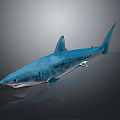 Realistic Blue Shark With Sharp Teeth And Fins On Smooth Display Surface 3d model