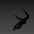 Animal Skull With Large Curved Horns Natural Brown Decorative
