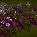 Colorful Garden Plants With Purple Green Red And Pink Flowers On Green Background