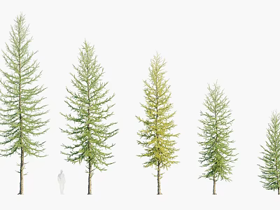 Plants Trees Big Trees Landscape Trees Arbor 3d model