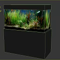 Colorful Tropical Fish Swimming in Glass Fish Tank with Green Aquatic Plants