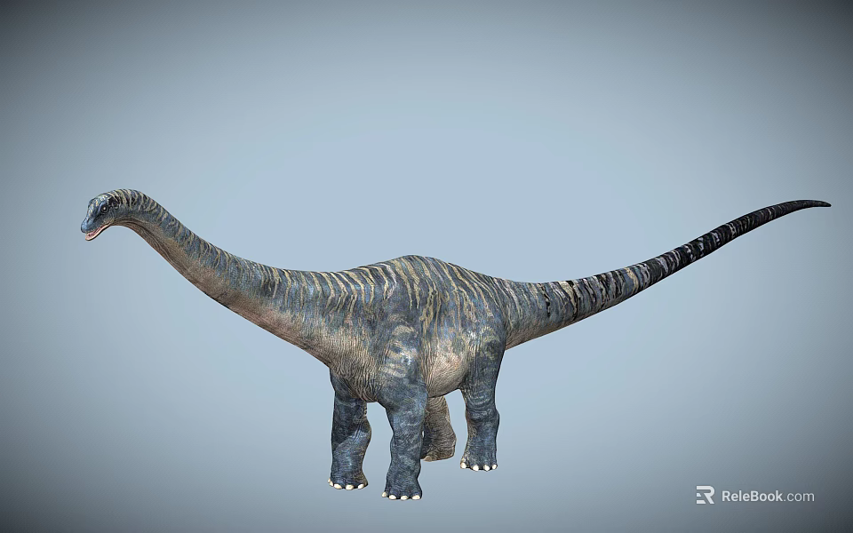 Reptile Dinosaur Featuring Long Neck Long Tail And Textured Skin Body Structure 3d model 