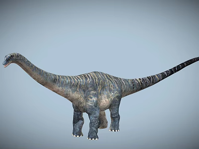 Reptile Dinosaur Featuring Long Neck Long Tail And Textured Skin Body Structure 3d model