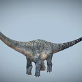 Reptile Dinosaur Featuring Long Neck Long Tail And Textured Skin Body Structure