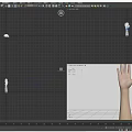 Human Arm and Hand Organ Structure with Natural Skin and Hair Details