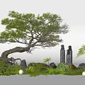 Song Dynasty Style Pine Tree with Stone Statues Moss Ferns and Greenery in Garden