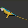 Vibrant 3D Parrot Flying With Blue Yellow Wings Green Head And Yellow Tail