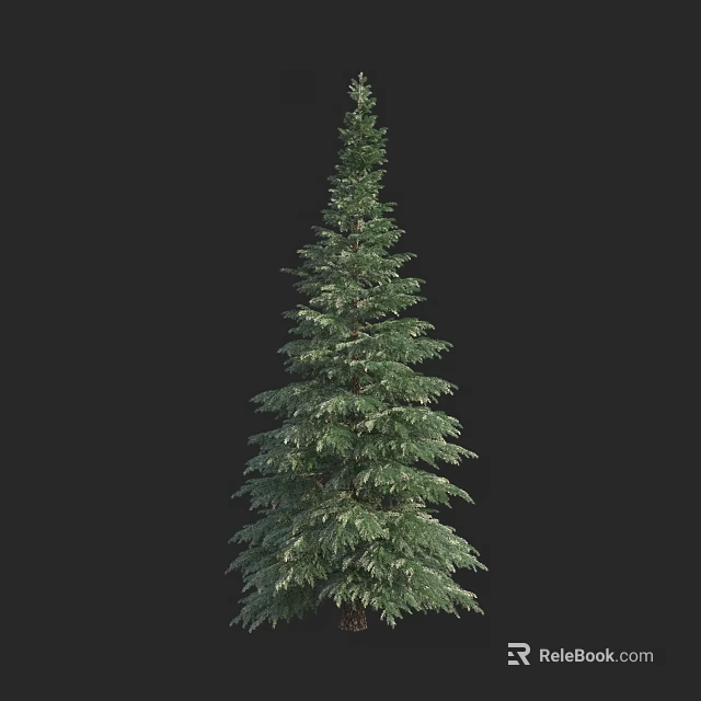 Tall Evergreen Tree With Lush Foliage And Upright Trunk Against Dark Background 3d model 