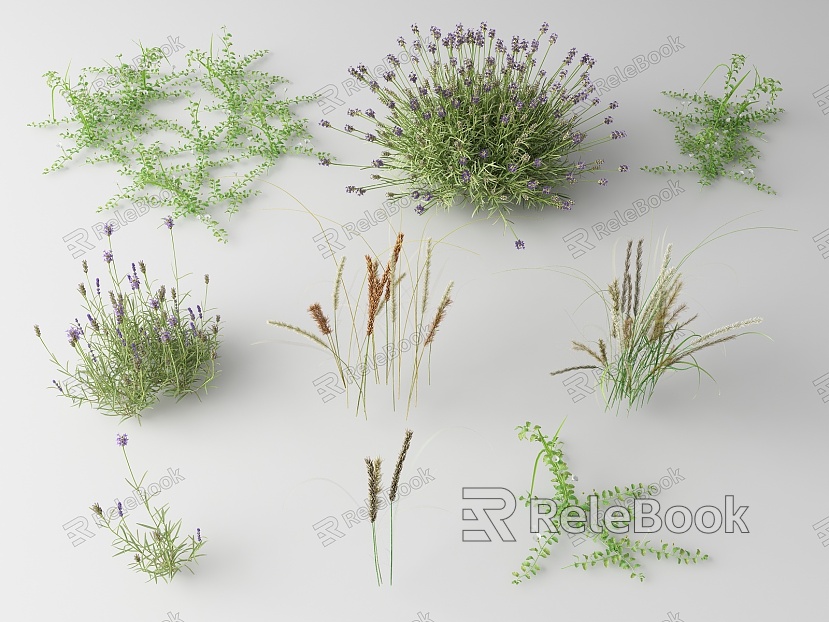 modern grass flowers model