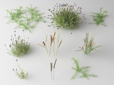 modern grass flowers 3d model