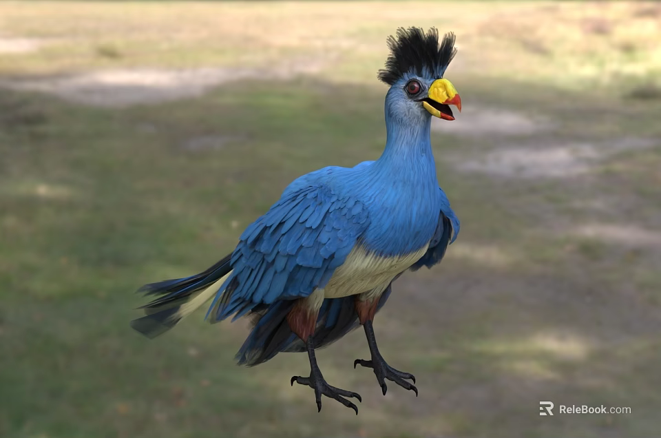 Blue Bird with Black Crested Head Yellow Beak Red Facial Patch Standing on Green Grass 3d model 