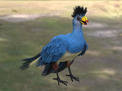 Blue Bird with Black Crested Head Yellow Beak Red Facial Patch Standing on Green Grass 3d model