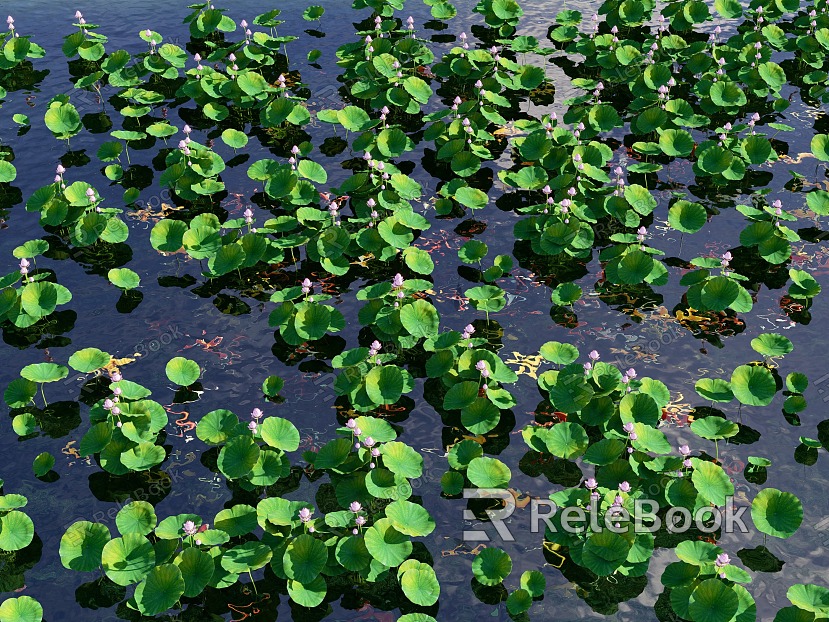 Modern lotus lotus leaf aquatic plant lotus landscape plant lotus leaf lotus canopy koi fish group carp goldfish model