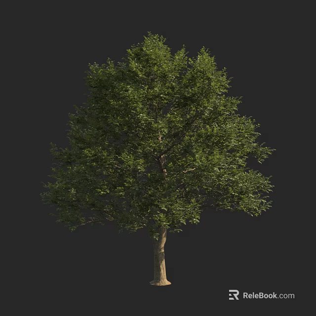 Healthy Arbor With Lush Green Leaves And Strong Trunk In Natural Growth 3d model 