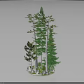 Various Green Trees With White Trunks And Different Heights Display Model Featuring Small White Elements 3d model
