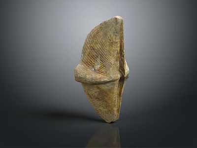 Modern shell scallop mother of pearl conch 3d model