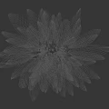 Variegated Tropical Foliage Plant with Large Green Leaves and Dark Patterns for Indoor Home Decoration