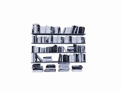 Books And Magazines Arranged On Multi Tiered Bookshelf With Neat Stacks 3d model
