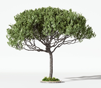 Trees Arbor 3d model