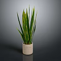 Green and Yellow Striped Leaves Plant in Beige Ceramic Pot on Dark Background