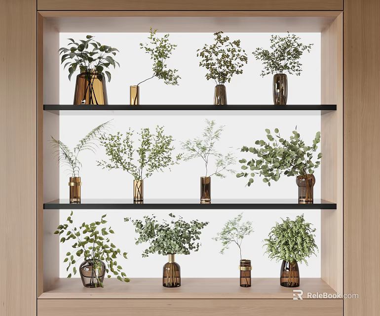 Stylish Decorative Vases With Green Plants Arranged On Wooden Shelves For Indoor 3d model 