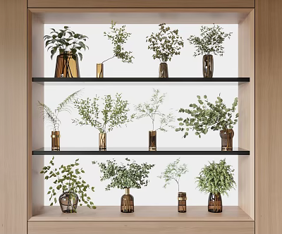 Stylish Decorative Vases With Green Plants Arranged On Wooden Shelves For Indoor 3d model