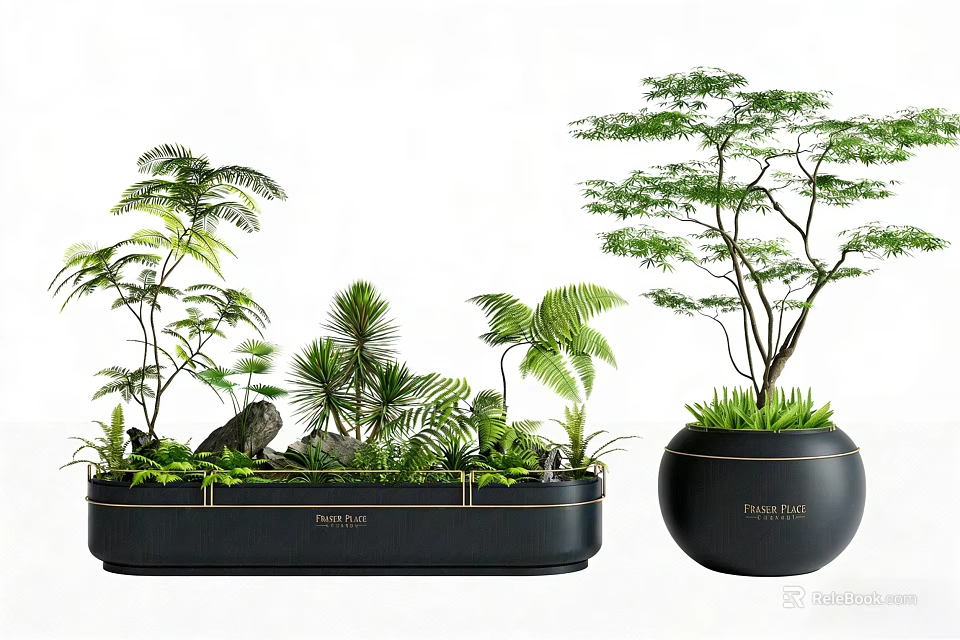 Stylish Plant Combination with Ferns Palms and Green Plants in Black Planters 3d model 