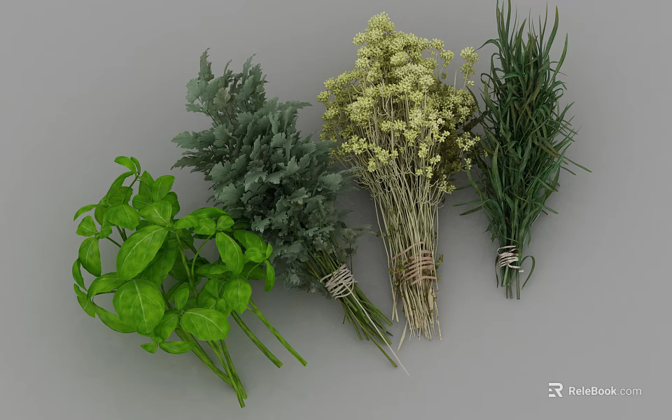 Medical Herbal Treatment Instruments With Dried And Fresh Herb Bundles 3d model 